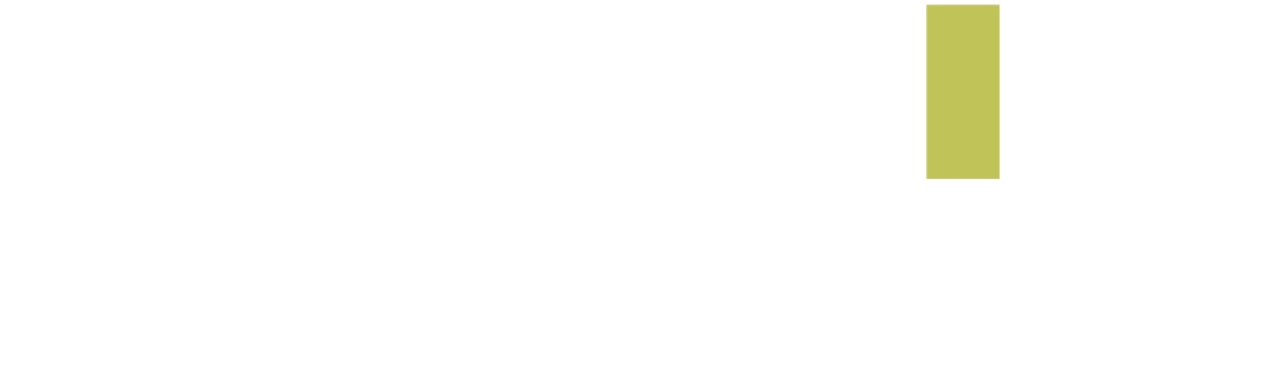 Fitalio Logo hell